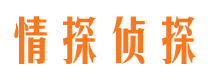 望城市婚外情调查